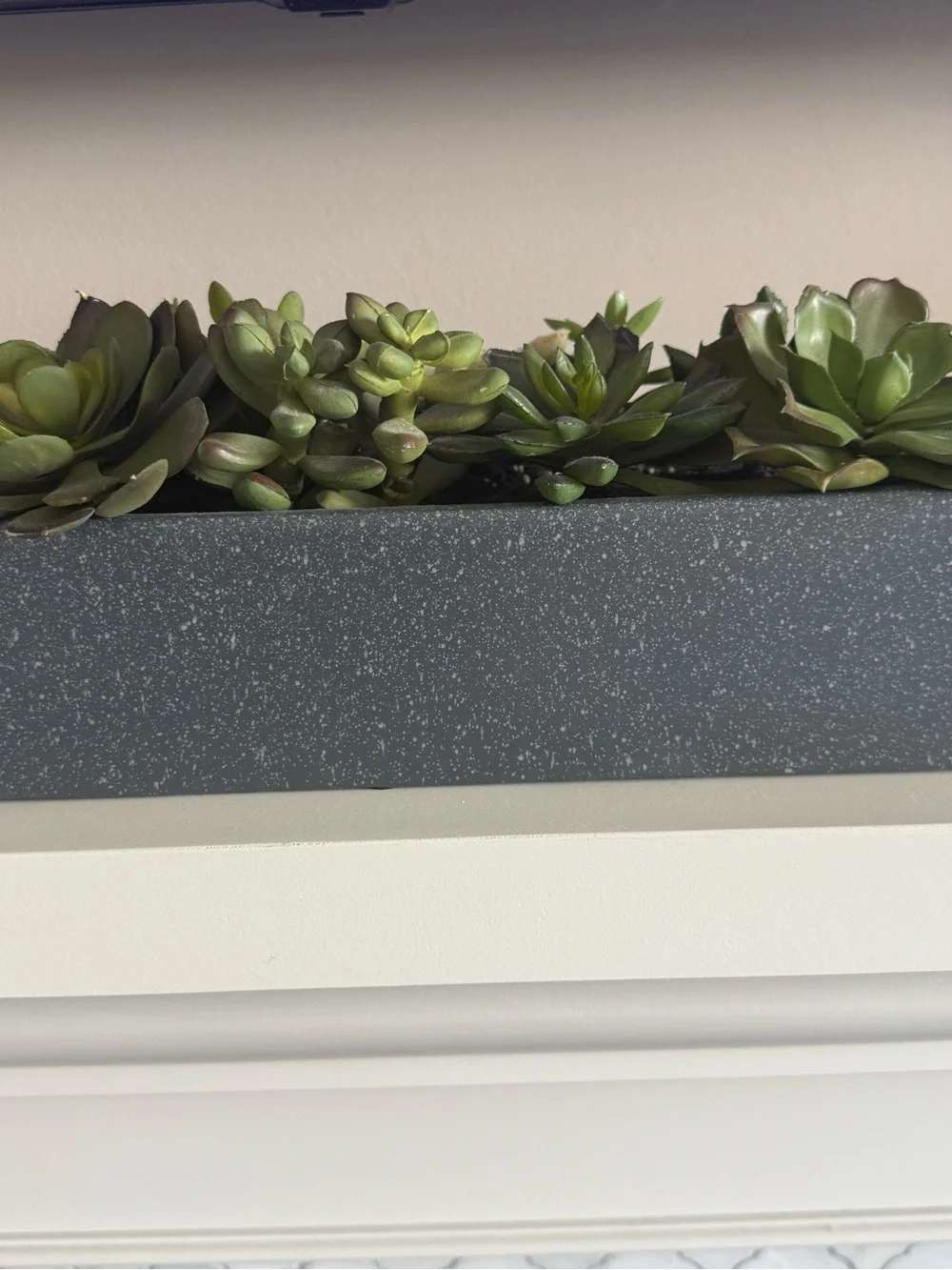 Crate and Barrel Potted Faux Succulent Arrangement in Matte Black Planter Box